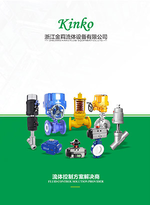 Corporate publicity foldout